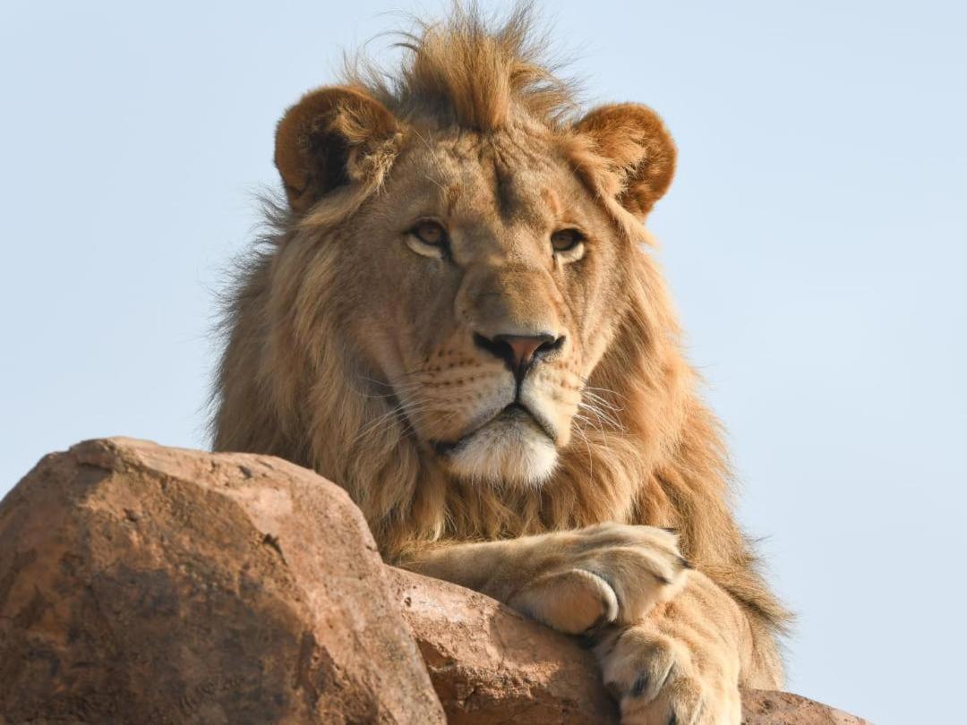 Lions View Accommodation Mbombela Ngoại thất bức ảnh