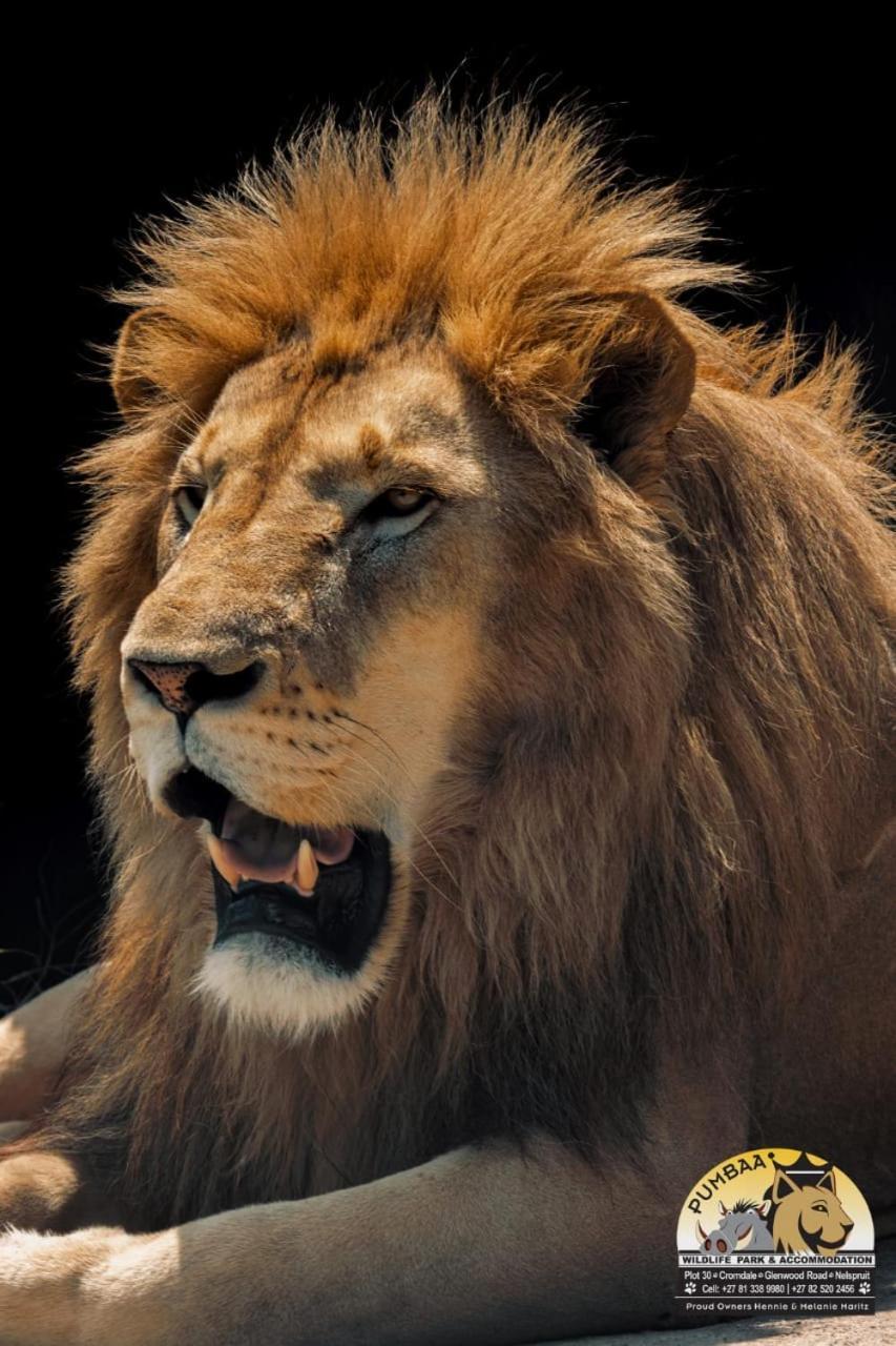 Lions View Accommodation Mbombela Ngoại thất bức ảnh